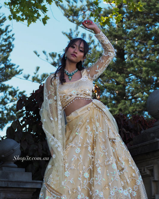 Champagne Gold Embroidered Lehenga Choli Set