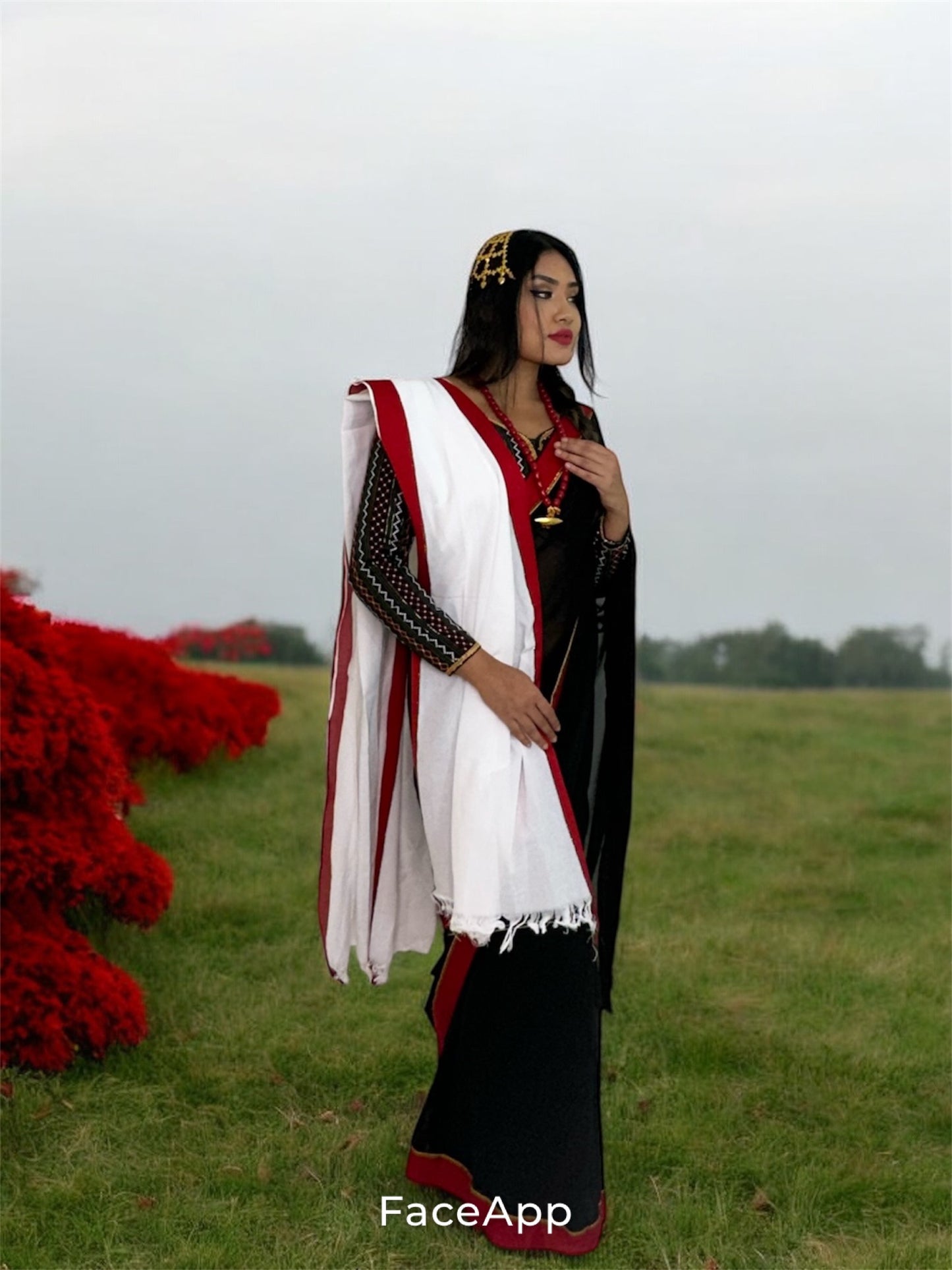 Cultural Newari Saree and Blouse Set